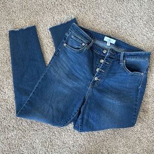 Pop Sugar button fly skinny stretch jeans -12